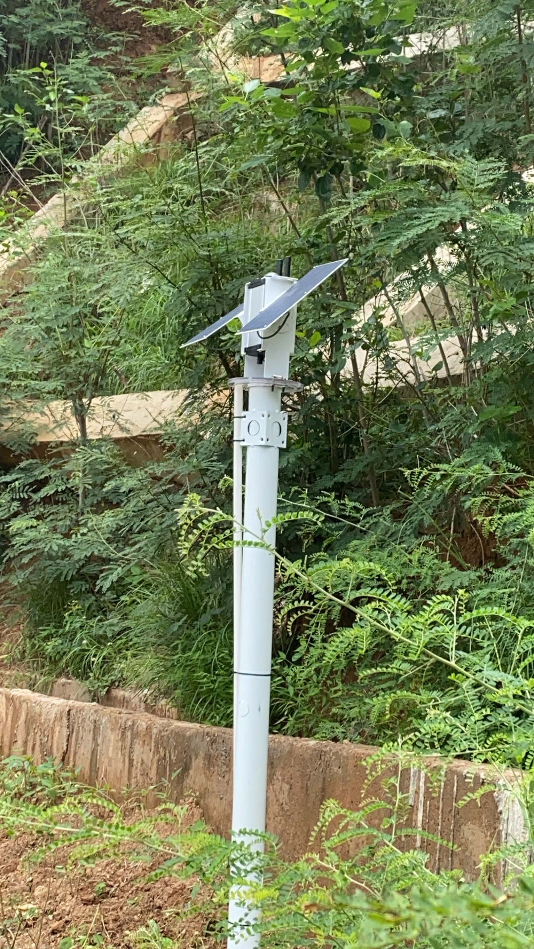 边坡植被区安装运行